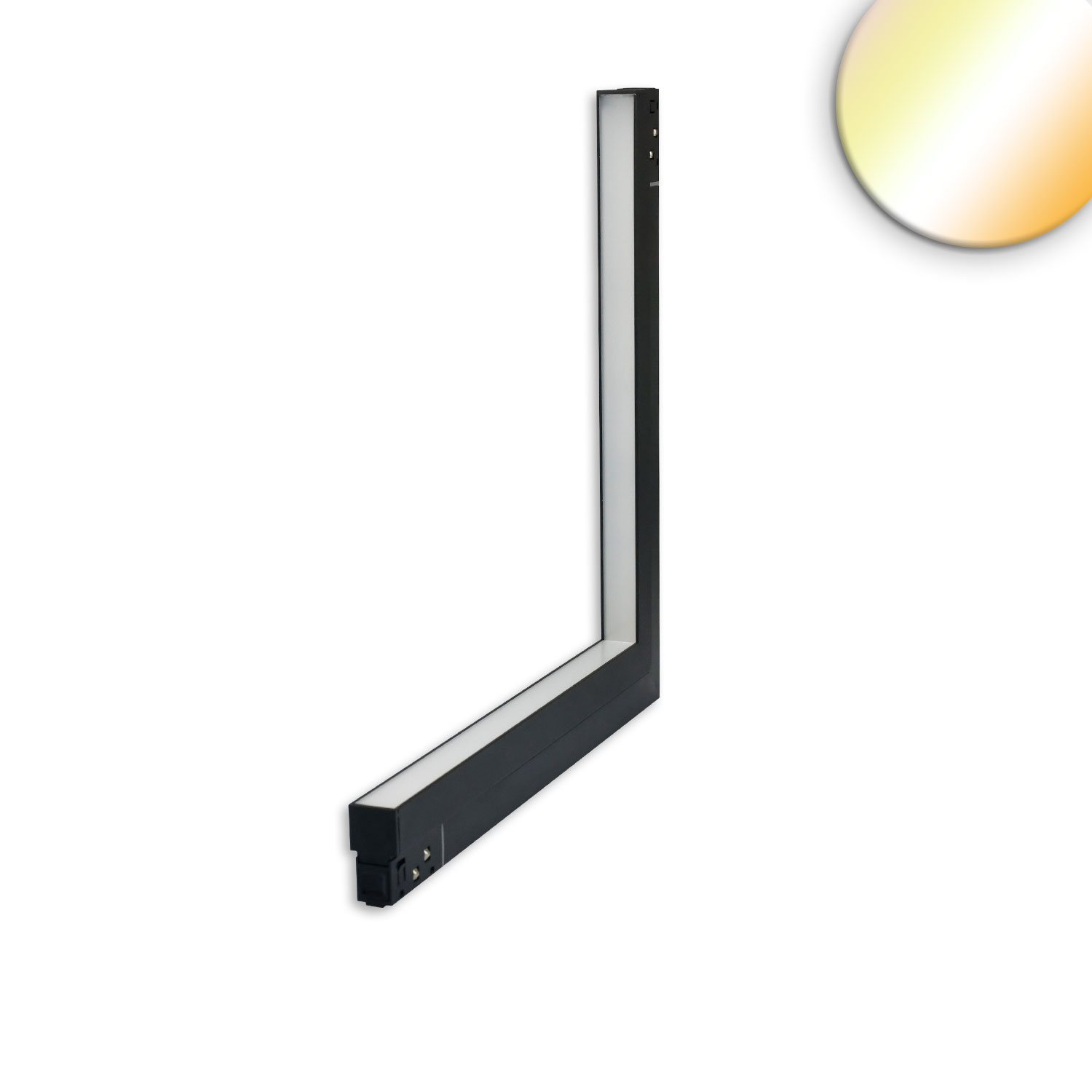 117229