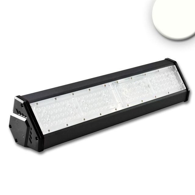 Luminaire LED pour halls LN 100W, 30°x70°, IK10, IP65, dimmable 1-10V, blanc neutre
