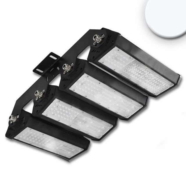 LED floodlight/highbay luminaire LN 4x 50W, 30x70°, IK10, IP65, 1-10V dimmable, cold white