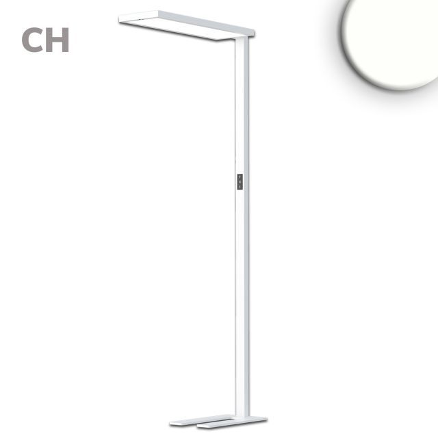 LED Office Pro Lampadaire Up|Down, 80W|20W, blanc, UGR