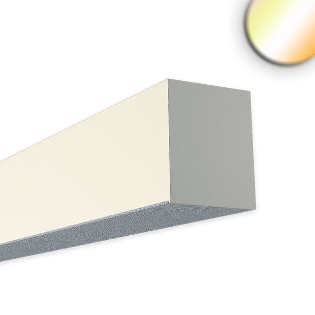 Plafoniera LED PROLAMP40D 26W bianco, 900mm, opale, DALI DT8, CCT 1900K-6000K