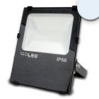 LED floodlight Prismatic 100W, cold white, IP66