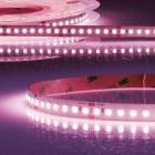 LED IRC Alimentation ruban Viande fraîche, 24V DC, 14,4W, IP20, rouleau de 5m, 140 LED/m