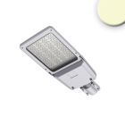 LED Street Light GR60, 3000K, IP66, con supporto per staffa DN45