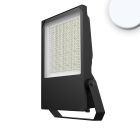 Proiettore LED HEQ 240W, 110°, 5700K, IP66