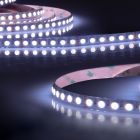LED SIL RGB+WW Strip, 24V DC, 19W, chip 4in1, rotolo da 5m, 96 LED/m