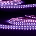Strip LED AQUA RGB+WW, 24V DC, 19W, IP68, chip 4in1, rotolo da 5 m, 96 LED/m
