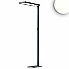 Lampada da terra LED Office Pro Up&Down, 80W+20W, nera, UGR