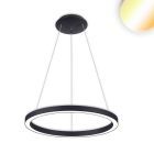 LED pendant light Circle 580 black, 48W, round, ColorSwitch 3000|3500|4000K, dimmable