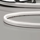 LED NEON940 flex stripe B08H12, 24V DC, 12W, IP67, 4000K, 5m roll, 140 LED/m, incl. Install. clips