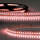  LED IRC Alimentation ruban Viande, 24V DC, 14,4W, IP20, rouleau de 5m, 160 LED/m