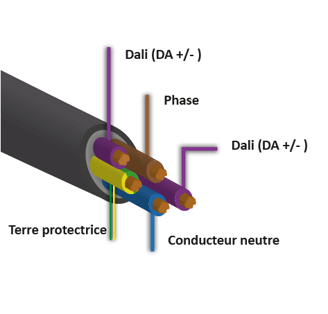 Un faisceau de c&acirc;bles &eacute;lectriques ouvert montre quatre conducteurs en cuivre de diff&eacute;rentes couleurs, entour&eacute;s d&rsquo;une gaine isolante ext&eacute;rieure. L&eacute;gendes : &laquo; Gaine du c&acirc;ble &raquo;, &laquo; Isolation &raquo;, &laquo; Conducteur en cuivre &raquo; et &laquo; Code couleur &raquo;.