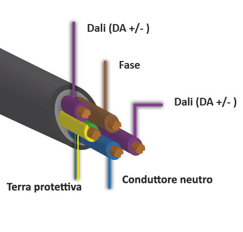 Un fascio di cavi elettrici aperto mostra quattro conduttori in rame di colore diverso, circondati da una guaina isolante esterna. Etichette: &laquo;Guaina del cavo&raquo;, &laquo;Isolamento&raquo;, &laquo;Conduttore in rame&raquo; e &laquo;Codice colore&raquo;.
