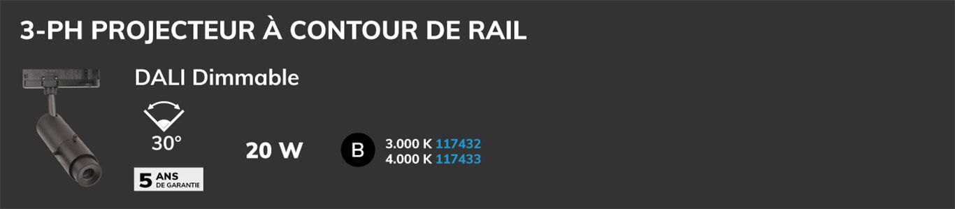 projecteur &agrave; rail