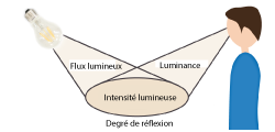 lumineux