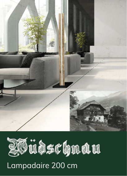 Une lampe sur pied haute et fine se tient dans un salon moderne et minimaliste avec des canap&eacute;s gris et des plantes. En bas, le texte indique : &laquo; W&uuml;dschnau lampe sur pied 200 cm &raquo; avec une image d&rsquo;une maison traditionnelle.
